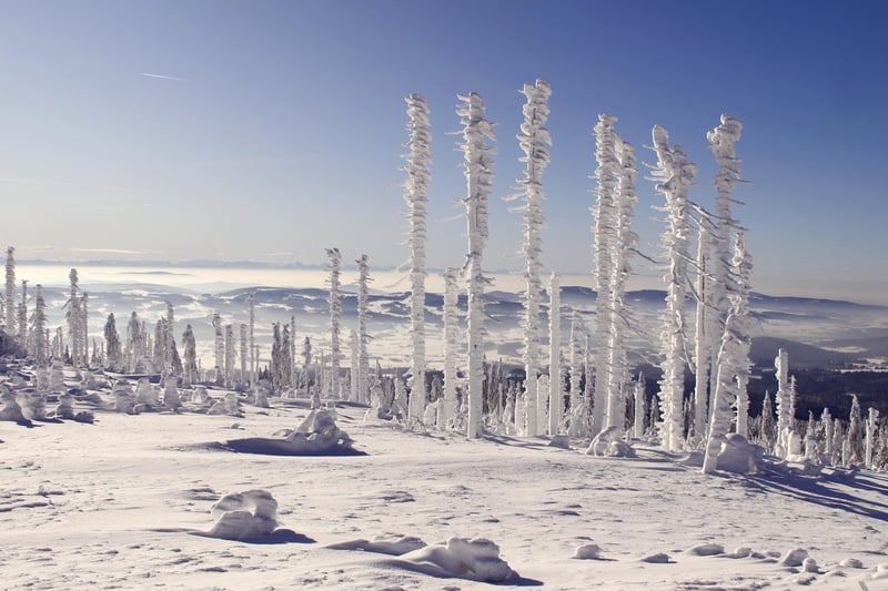 Magical panoramas